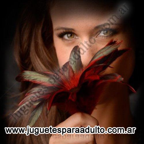 LENCERÃA FEMENINA, Accesorios de lenceria, Plumas Scarlet Red LencerÃa femenina, Accesorios de lenceria, Plumas Scarlet Red